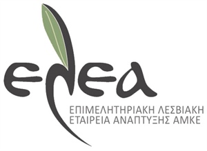 A. Περίληψη Πρόσκλησης Εκδήλωσης Ενδιαφέροντος, 19.06.2020